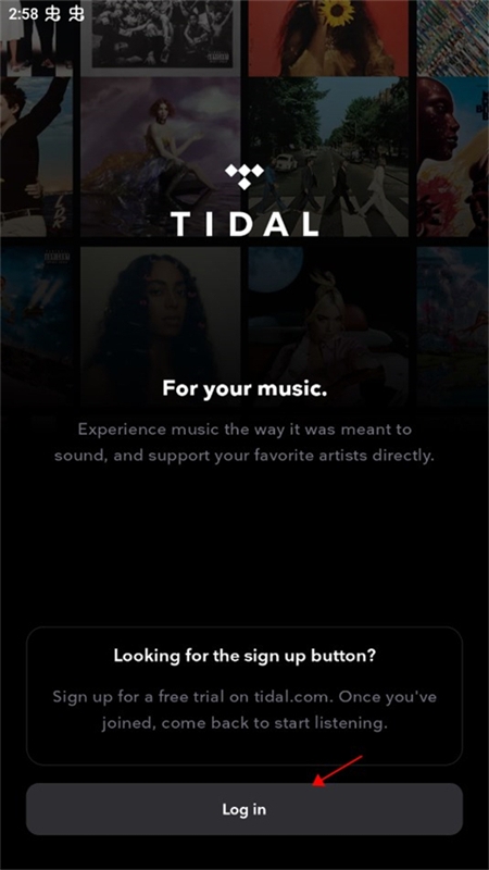 TIDAL׿°汾