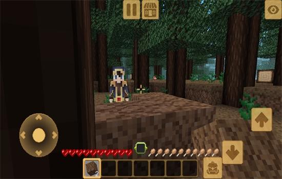ʦ鹤Ϸ(Master Block Craft)ֻ