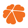 Ϊ̳app°2024v9.0.2 ׿