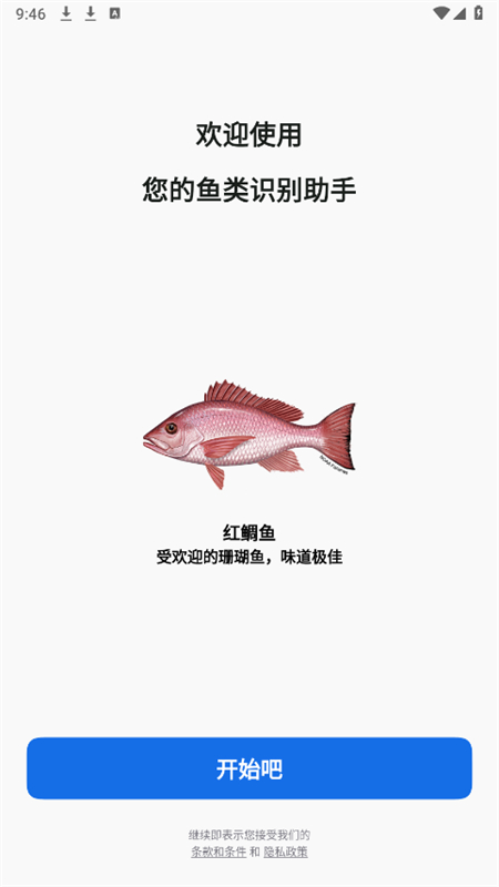 Fishby׿ֻ