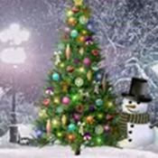 ҵʥ(My Xmas-Tree)°2025v290013prod ׿