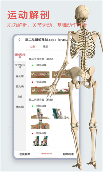 ​3Dbodyʰ׿2024°v8.8.21׿°ͼ1