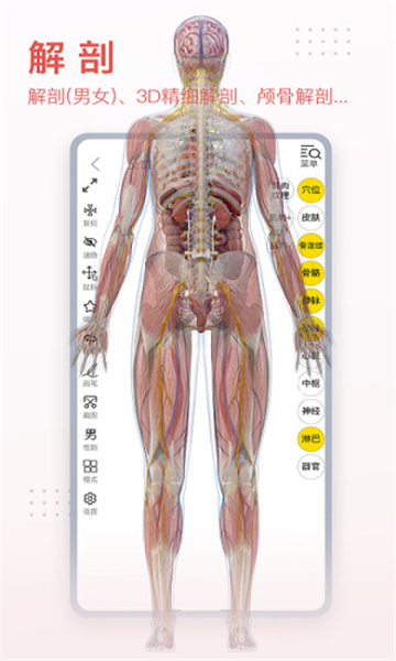 ​3Dbodyʰ׿2024°v8.8.21׿°ͼ2