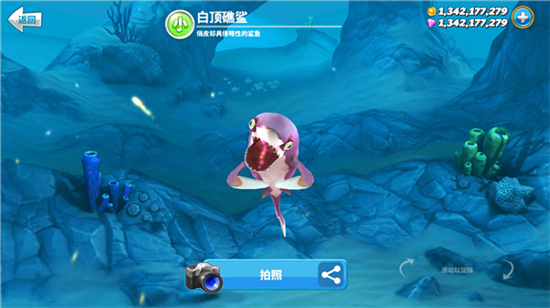 hungrysharkworldʰӢ2024Ѱ棨ʷv5.9.1׿°ͼ3