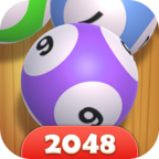 ͣ2048v1.0.0.1 °