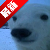 СԴappٷ°汾v1.7.5 ׿