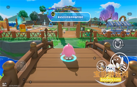 �����ɶ������������°�2026