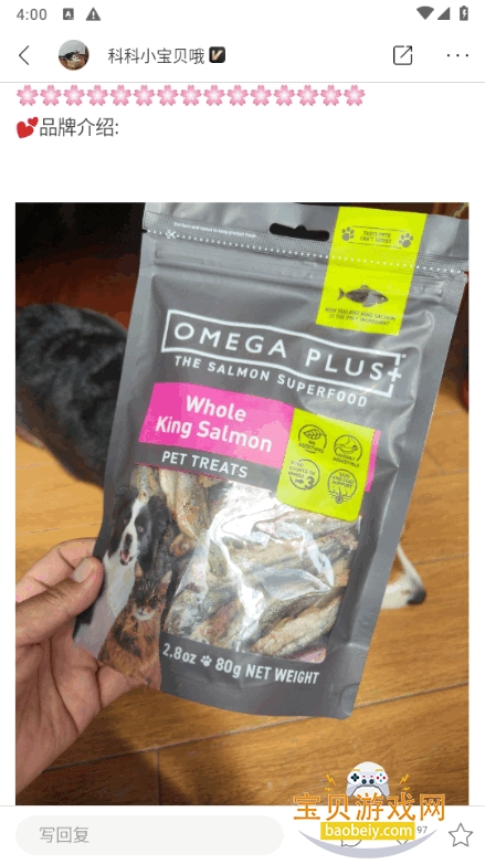 波奇宠物app官方正版 波奇宠物app官方正版