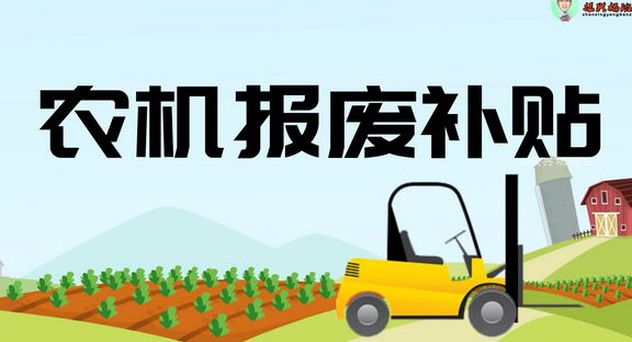 ���ʽ�������