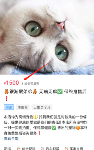 ﱦappٷ