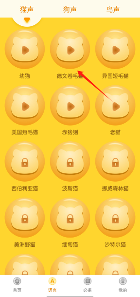 ﷭appٷ׿