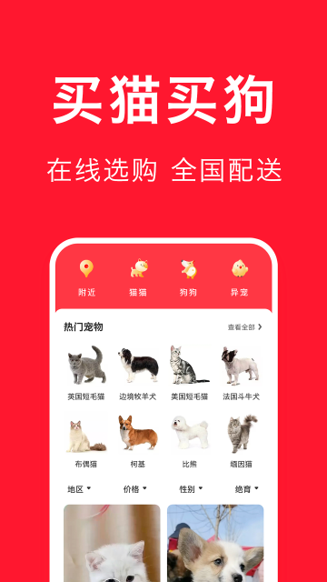 ﱦappٷv4.5.0ֻͼ2