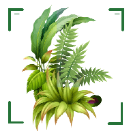 ʶɨһɨappٷv1.11׿
