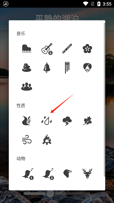 ڤappٷ