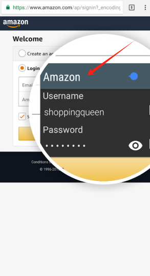password safeרҵ
