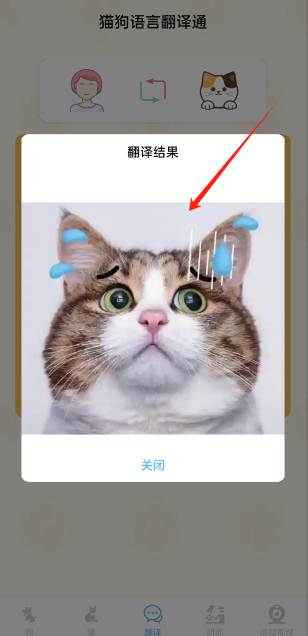 èԷͨapp׿