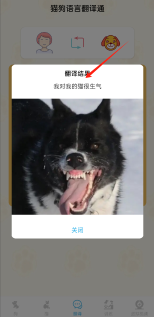 èԷͨapp׿
