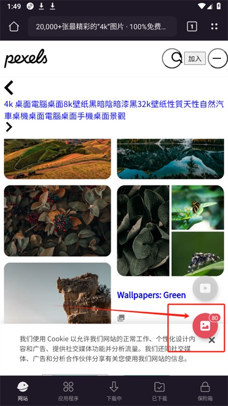 X ߼(X Downloader)appֻ
