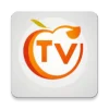 tvvv20250317 ٷ°