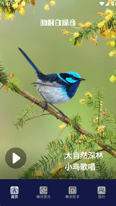AutoSleeping appС˵v1.2׿ͼ2
