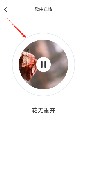 ÿappٷ