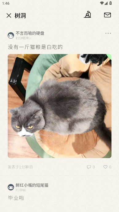 С͸app°
