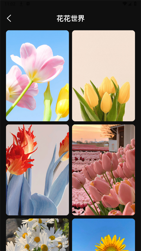 appٷֻv1.0.0 ׿ͼ3.