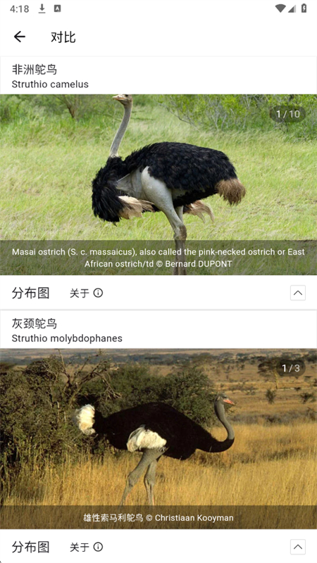 appٷֻv1.0.17  ׿ͼ7.