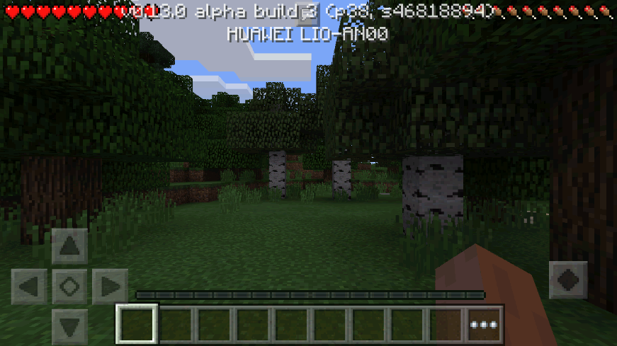 ҵհ(Minecraft - Pocket Edition)2025°ͼ3