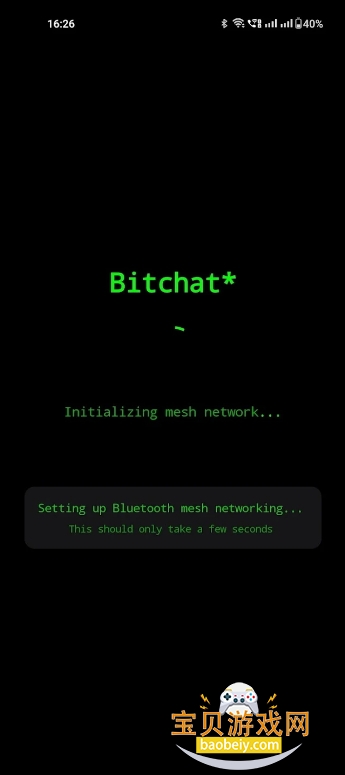 BitChat˽app