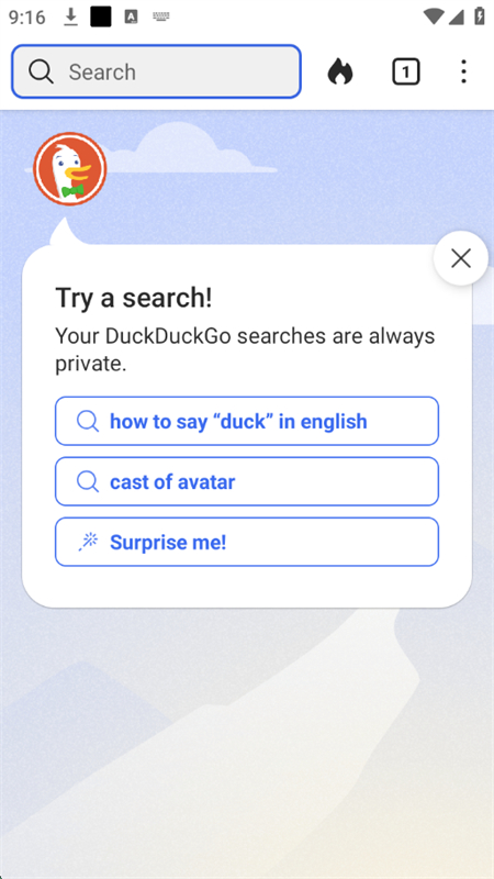 DuckDuckGoֻv5.241.0 ׿ͼ8.