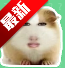 app°汾v1.0 ׿