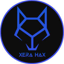˲(XeraHax PUBGM Loader)v1.1.4 °