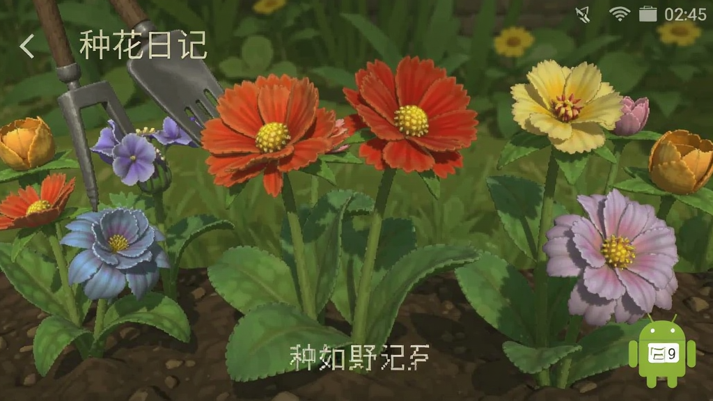 种花日记 安卓版 界面截图
