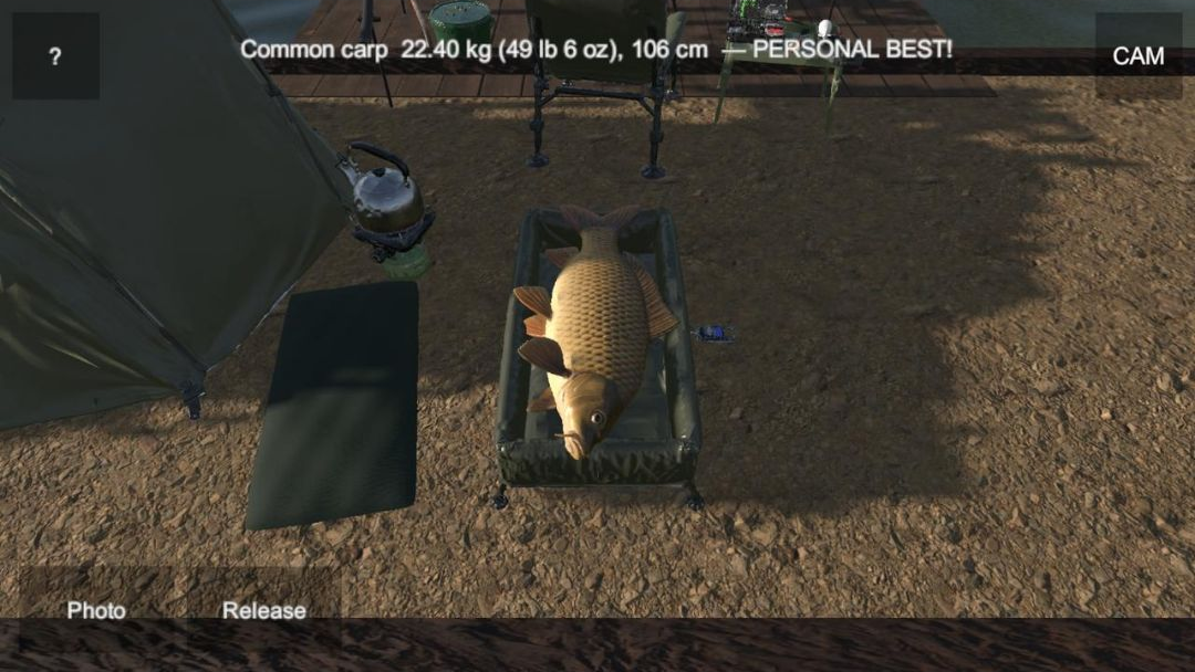 ���㴹���߼��� (Carp Fishing Pro)��ͼ4