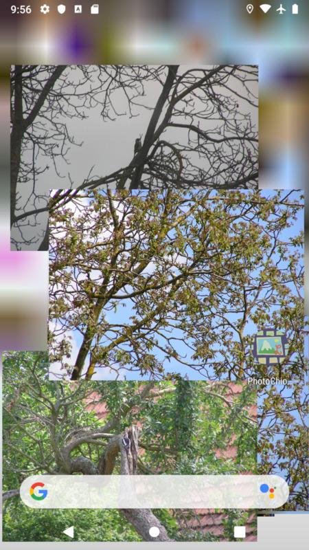 PhotoChiotte��ͼapp���°��ͼ