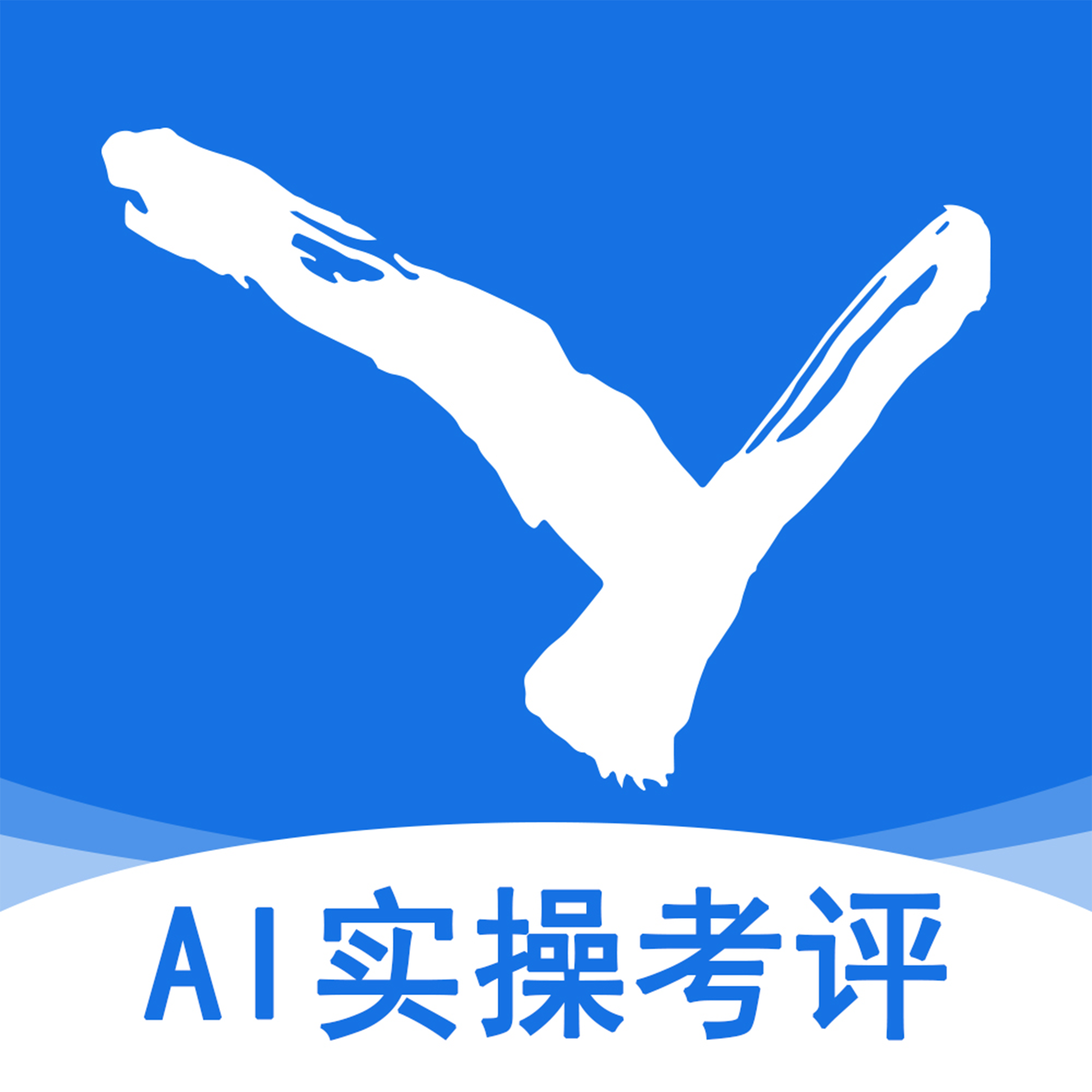 AIʵ�ٿ���1.0.6 �ٷ���