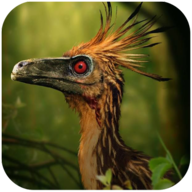 �˳���ģ����(Troodon Simulator)1.3.6 ��Ѱ�