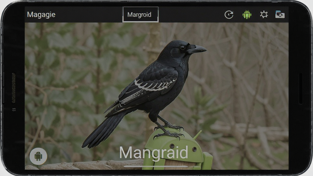 Magpie 安卓版 操作界面 功能展示