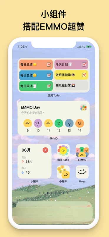 EMMOС�˱�1.6.1 ��Լ�����������н�ͼ