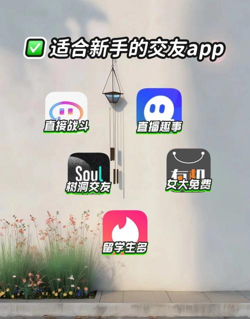 Ameeno-ȫ�������罻���� ��׿��