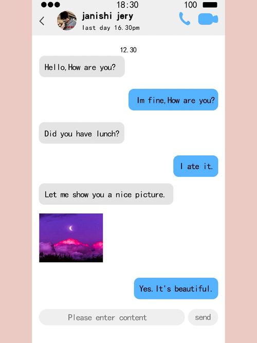 月栖聊天对话界面截图