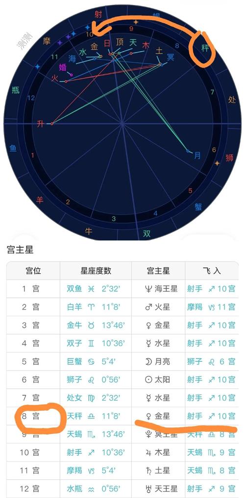 星语坐标 安卓版 星座查询界面