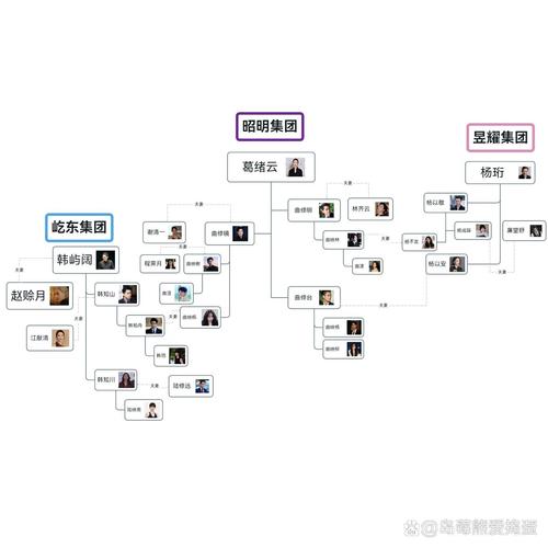 后人 安卓版 族谱树功能展示