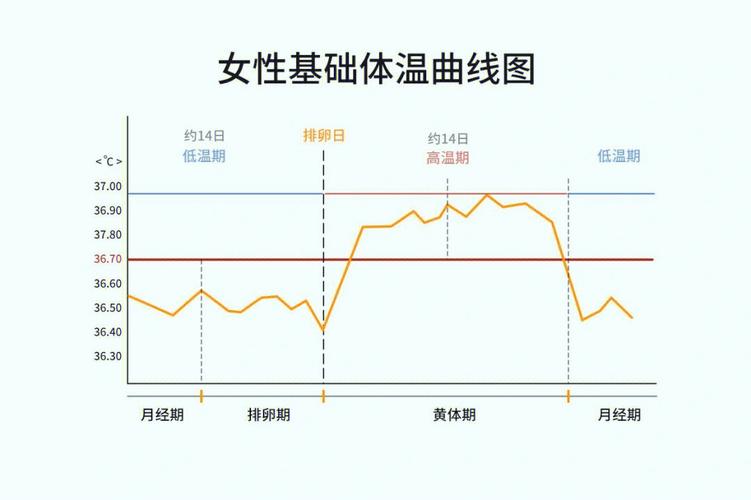 孕柚 功能界面 排卵曲线