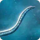 ����ģ������Ϸ��׿���°汾v56.49 �ֻ���