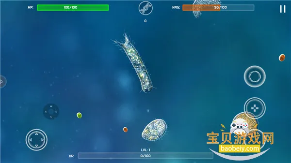 ����ģ�������İ�