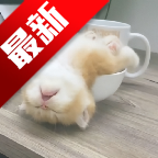 ��ƿ��Ƶapp��׿��������ֻ���v1.1.3��׿��