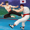 Karate Fighter�����ʦ��Ϸ����v3.5.40�ֻ���