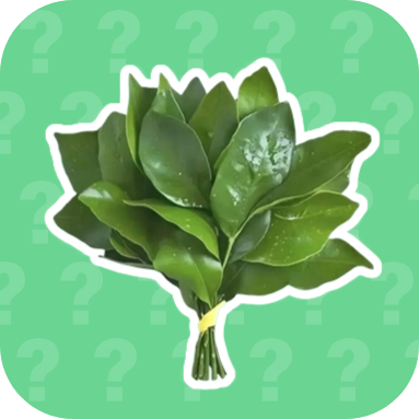 ������ʦ������app���°汾2026v1.02 ��׿��